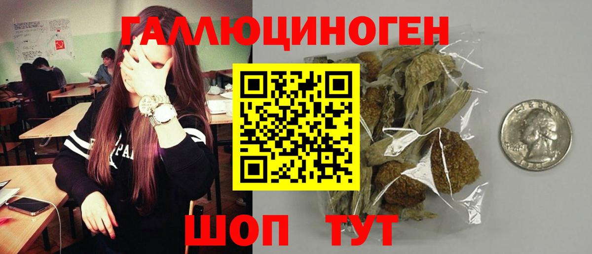 Псилоцибиновые грибы Psilocybe  Псилоцибиновые грибы прущие грибы  Волгоград  Вход с VPN 